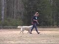 Frassen LK1 Ume� 2008-05-04