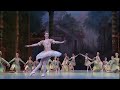 sleeping beauty ballet