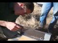 Field Testing Bulletproof Glass
