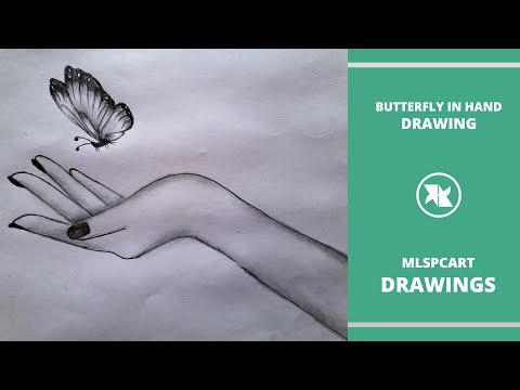 Animation Gallery Video 4