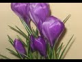 Crocuses grow and bloom