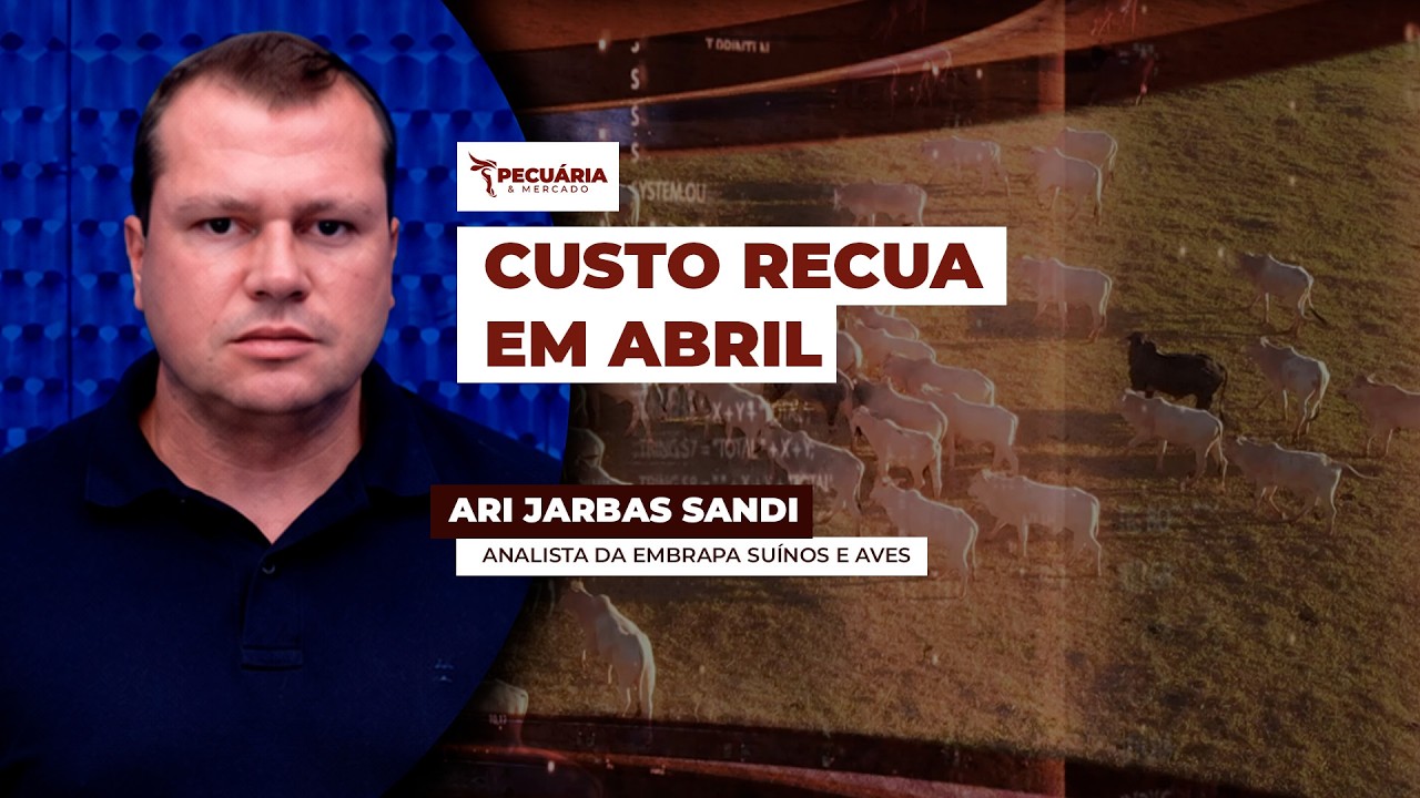 Levantamento da Embrapa aponta para redução de custos para suínos e frango