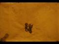 14th IFVA - Animation Category - The End