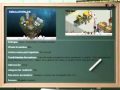 Ver Video