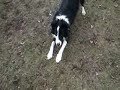 Miko Freestyle Miko Freestyle