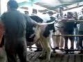 Inseminacion artificial