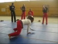 capoeira-show.html