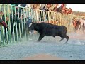 film taureaux