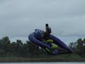 flying manta ray