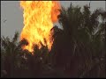 Home 2009 trailer (portugues brasil)