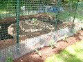 Garden Design Tour (short video) Garden Design Tour (short video)