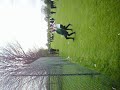 fence breakage