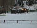 REGIMIENTO LAS BANDURRIAS COYHAIQUE REGIMIENTO LAS BANDURRIAS COYHAIQUE