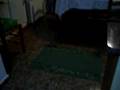 Salchicha video