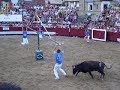 plaza sadaba`09 recortadores 3