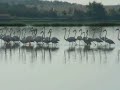 Lagoa dos Salgados Lagoa dos Salgados