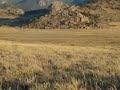 antelope hunting in Wyoming antelope hunting in Wyoming
