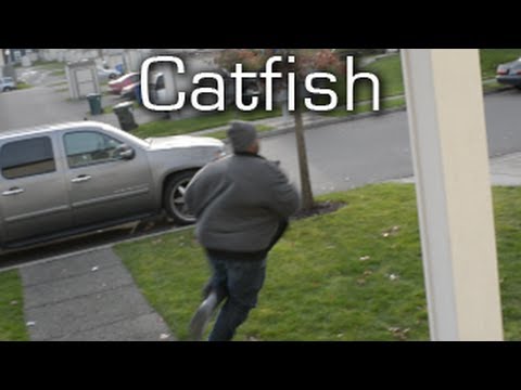 Catfish