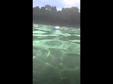 Lithia Springs, FL