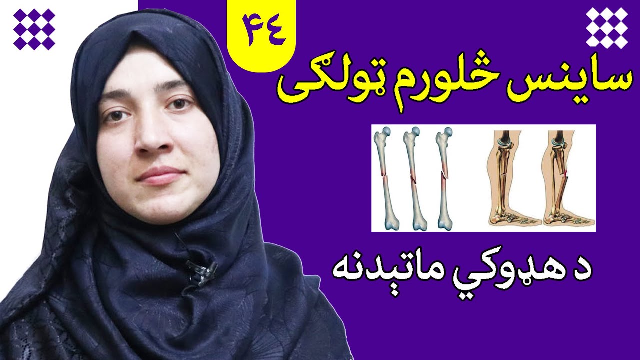 Class 4 - Science | Bone fractures | What is the reason of bone fractures?
