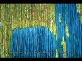 Giorgio Centovalli Opere Artista Pittore Painter Artist