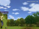 Golden Tee Great Shot on Sunny Wood!