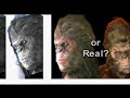 Bigfoot Body Found in Georgia (hoax!)