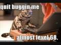 LOLcats from ICHC