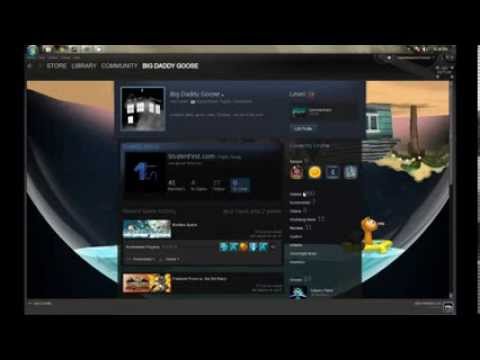 how to set steam profile to public