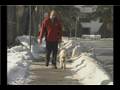 Guide Dog Training : Guide Dogs for Blind & Visually Impaired