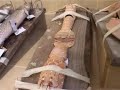 Prepariranje riba - II dio