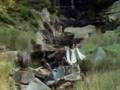 In A Wild Workshop: Emily Bronte and Wuthering Heights-clip