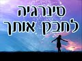 סינרגיה - לחבק אותך