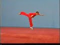 Wushu Team Düsseldorf Chan Quan Sprung Punkte Richtlinien