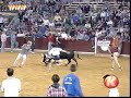 Divertidos