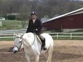 joyce riding at avon valley show stables in winning long stirrup equitation trip.