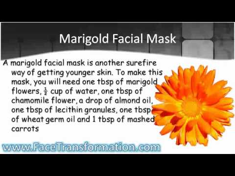 how to rebuild skin cells