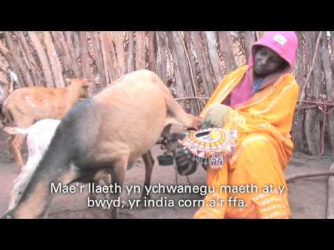 See video