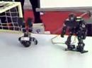 robo-erectus, educational robot, entertainment robot, humanoid robot, dancing robot
