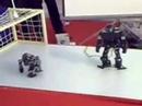 robo-erectus, educational robot, entertainment robot, humanoid robot, dancing robot