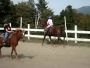 Hershey Shayla Mountain View Ranch
