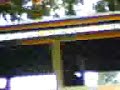 National Stud Farm Tanjung Rambutan