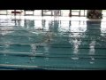 Campeonato Regional de Piscina Curta_2009 11 1500L João Borges_17:22.72_Alexandre Medina/18:06.31