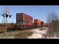 Puslinch 11.03.07 0932
