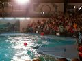 delfiny akrobacje 1