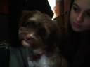 Projet cheyenne.wmv Projet cheyenne.wmv