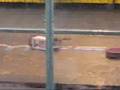 BattleBots Greatest Hits at RoboGames 2008