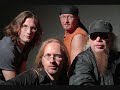 Elektriker-Torfrock