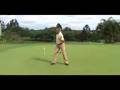 golf practice swing