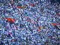 gallinas_2 - CHIVAS_3 - La Remontada - �quien es PAP�?